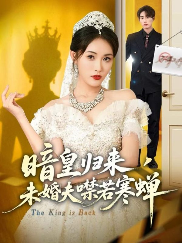 《暗皇归来，未婚夫噤若寒蝉》-VIP部落