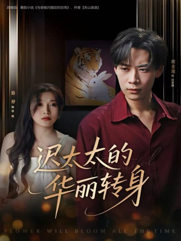 《迟太太的华丽转身》-VIP部落
