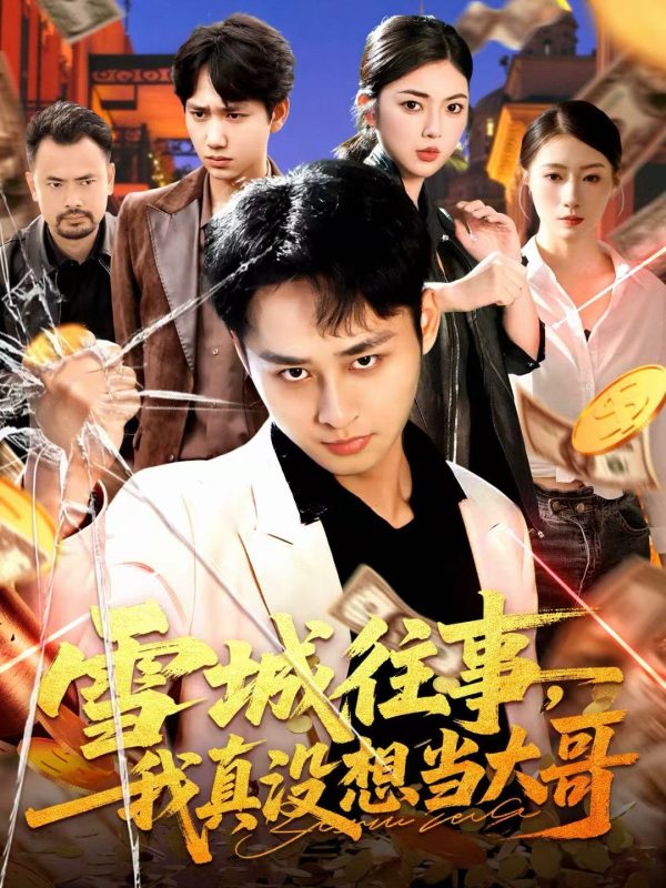 《雪城往事,我真没想当大哥》-VIP部落