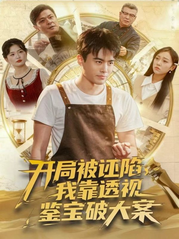 《开局被诬陷,我靠透视鉴宝破大案》-VIP部落
