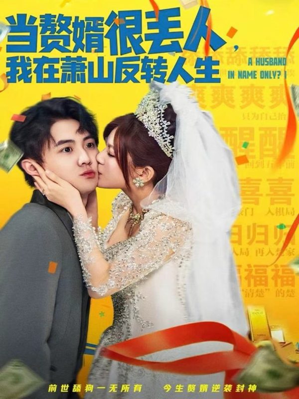 《当赘婿很丢人，我在萧山反转人生》-VIP部落