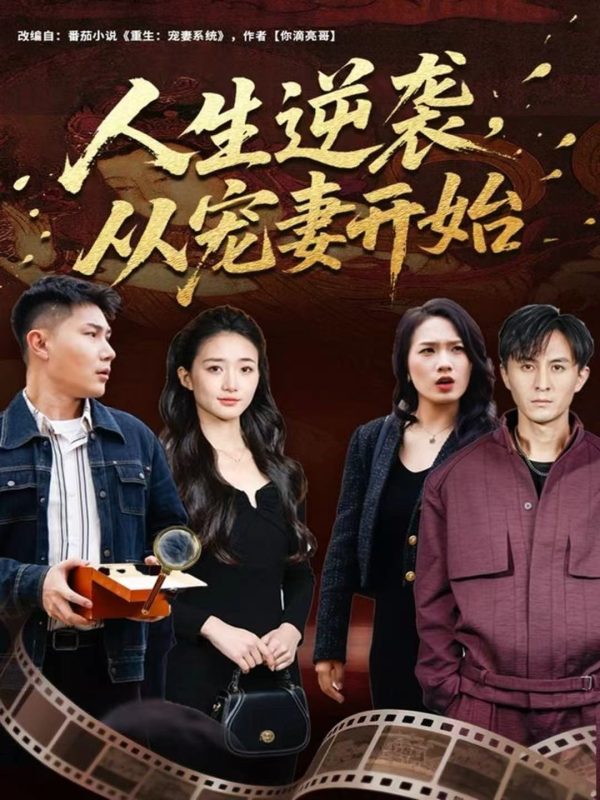 《人生逆袭，从宠妻开始》-VIP部落