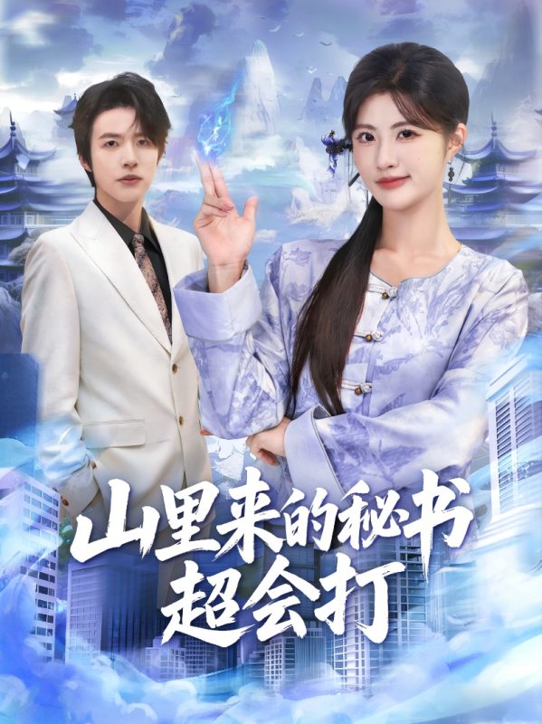 《山里来的秘书超会打》-VIP部落