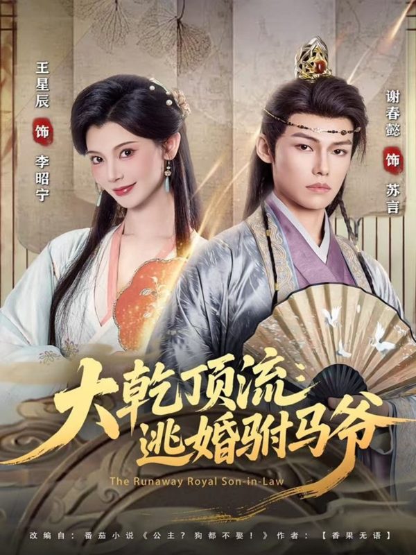 《大乾顶流：逃婚驸马爷》-VIP部落