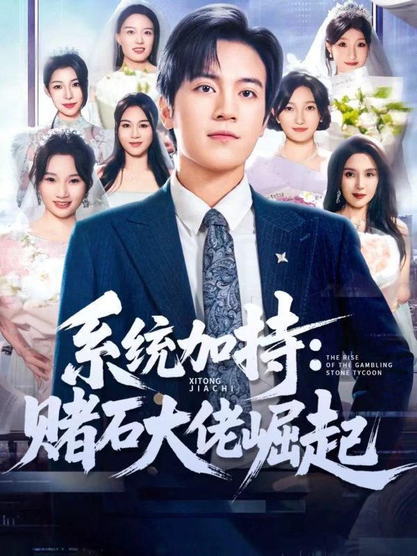 《系统加持：赌石大佬崛起》-VIP部落