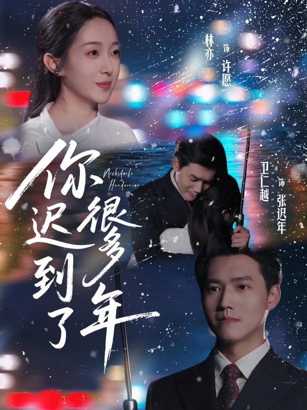 《你迟到了很多年》-VIP部落