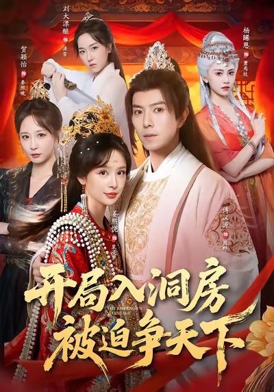 《开局入洞房，被迫争天下》-VIP部落