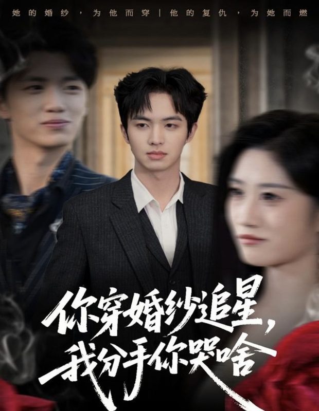 《你穿婚纱追星，我分手你哭啥》-VIP部落