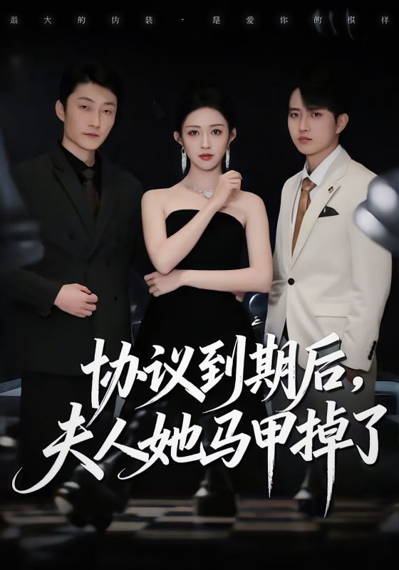 《协议到期后，夫人她马甲掉了》-VIP部落
