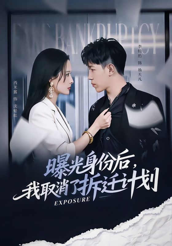 《曝光身份后，我取消了拆迁计划》-VIP部落