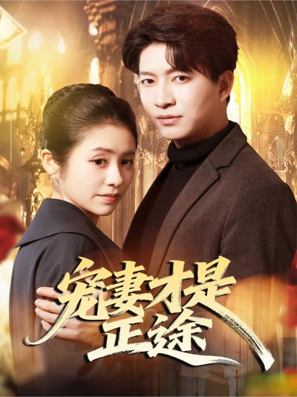 《宠妻才是正途》-VIP部落