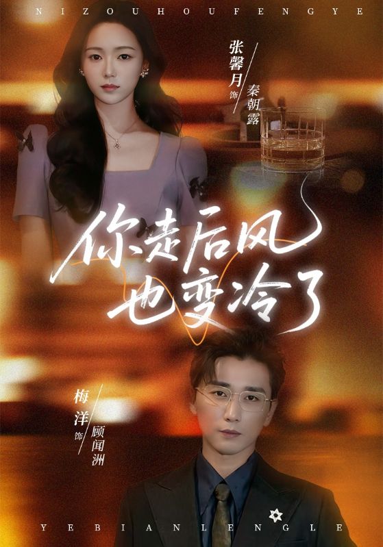 《你走后风也变冷了》-VIP部落