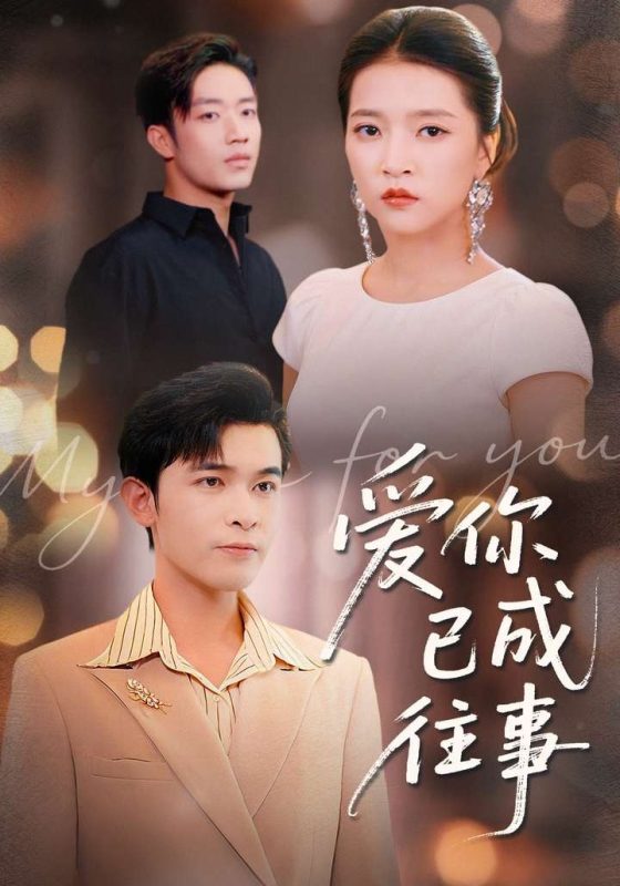 《爱你已成往事》-VIP部落