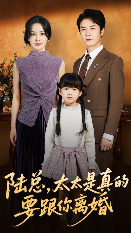 《陆总太太是真的要跟你离婚》-VIP部落
