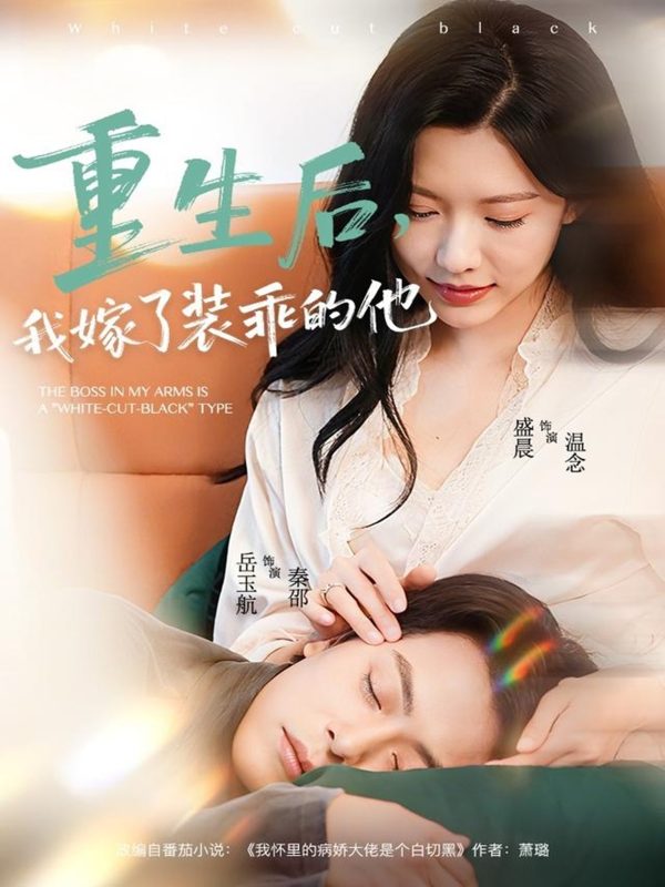 《重生后，我嫁了装乖的他》-VIP部落