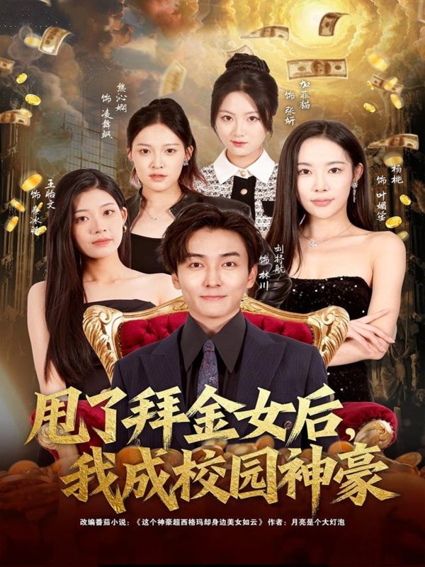 《甩了拜金女后，我成校园神豪》-VIP部落