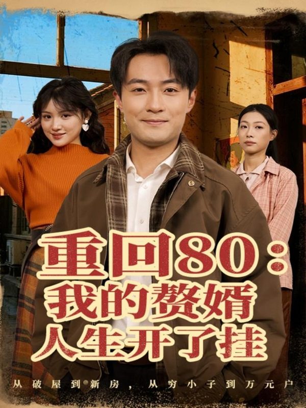 《重回80我的赘婿人生开了挂》-VIP部落