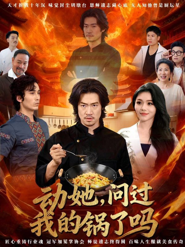 《动她，问过我的锅了吗》-VIP部落
