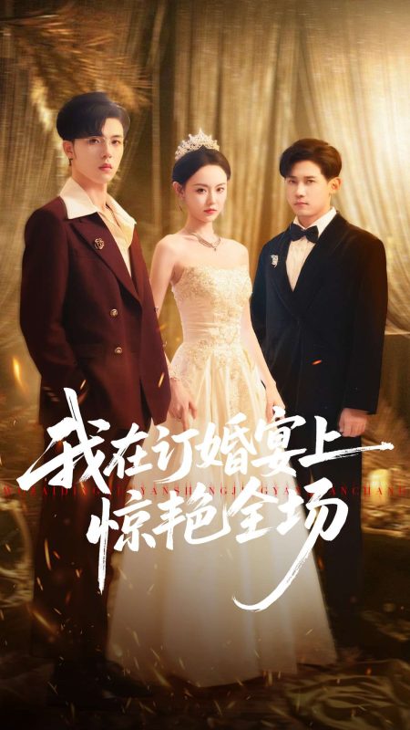 《我在订婚宴上惊艳全场》-VIP部落