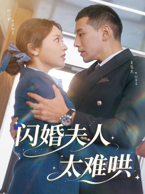 《闪婚夫人太难哄》-VIP部落