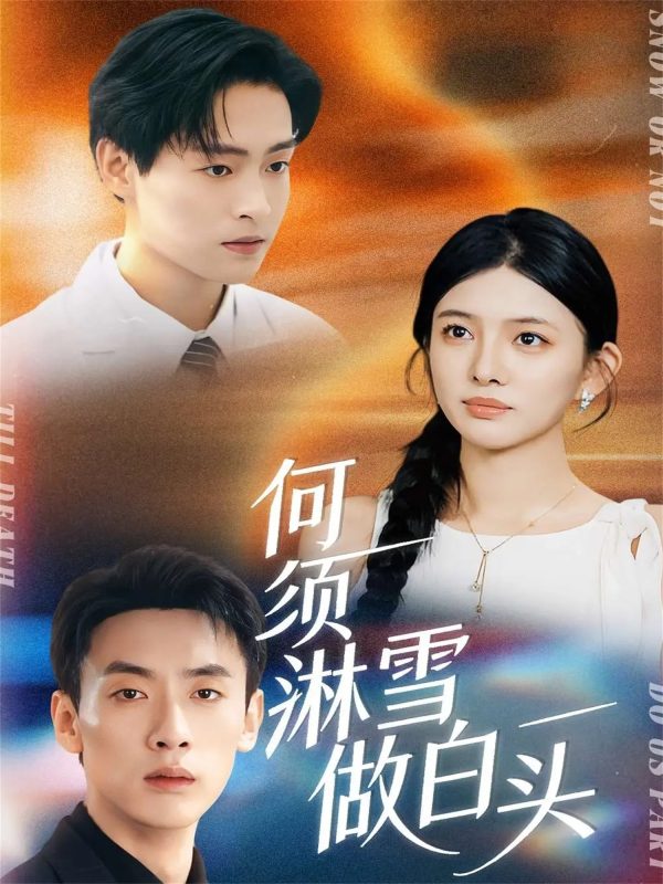 《何须淋雪做白头》-VIP部落