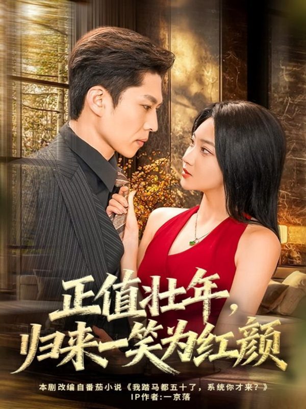 《正值壮年，归来一笑为红颜》-VIP部落