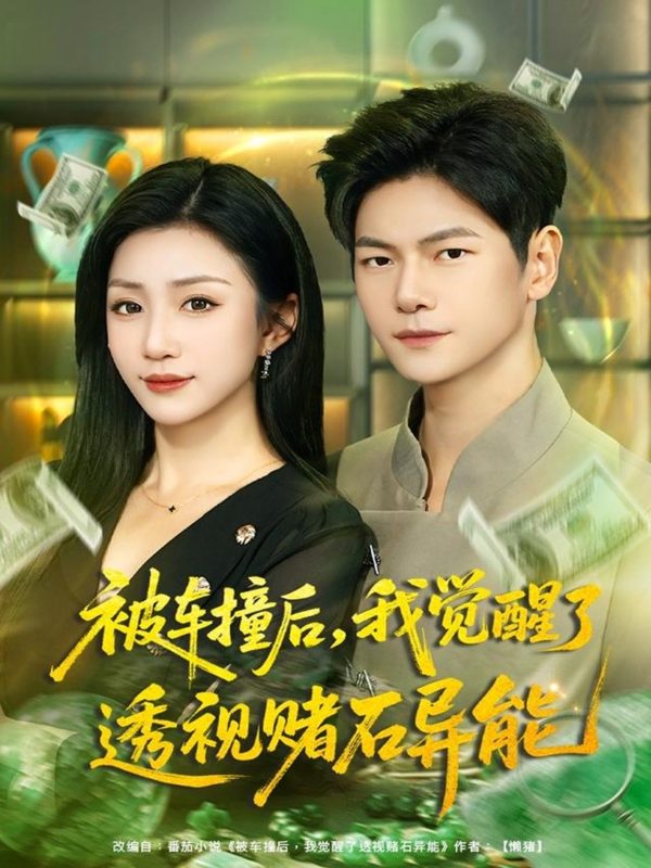 《被车撞后，我觉醒了透视赌石异能》-VIP部落