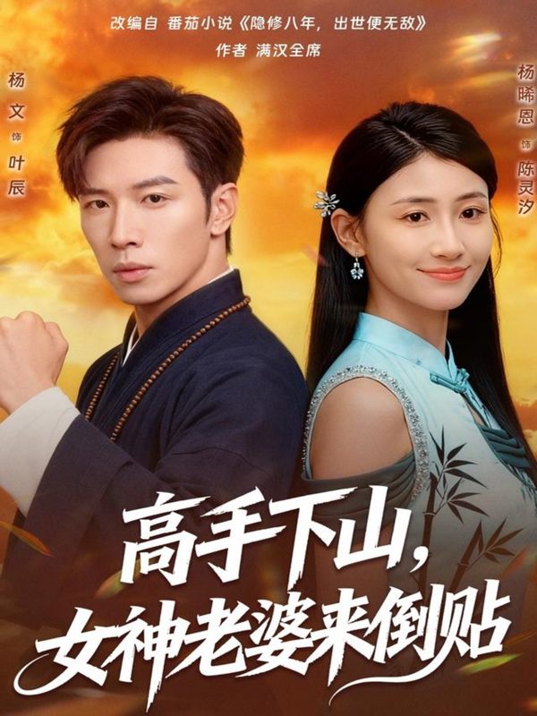 《高手下山，女神老婆来倒贴》-VIP部落