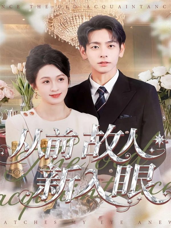 《从前故人新入眼》-VIP部落