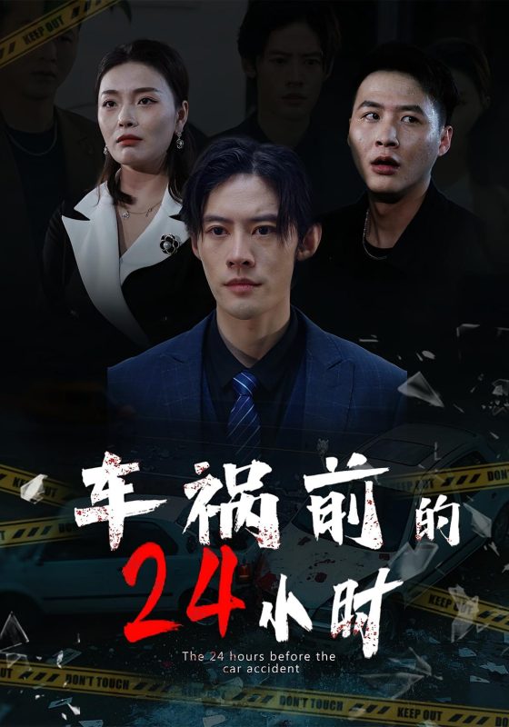 《车祸前的24小时》-VIP部落