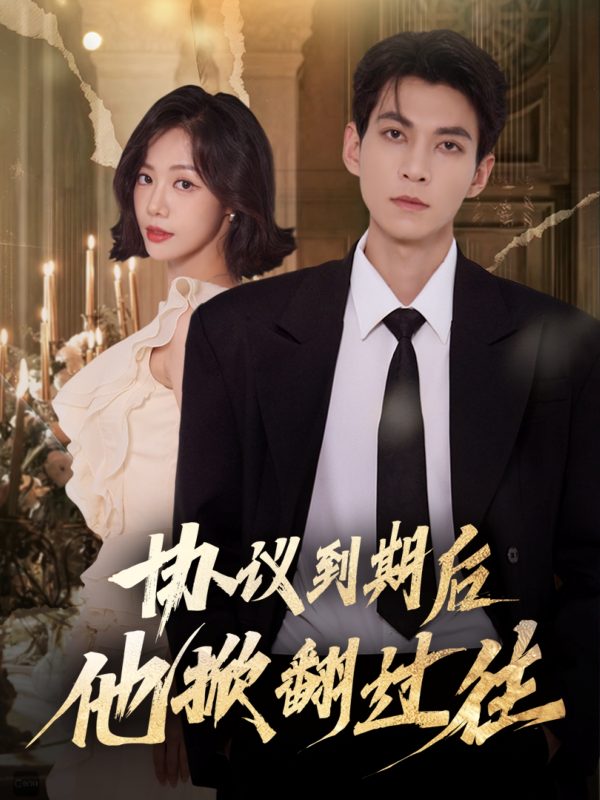 《协议到期后他掀翻过往》-VIP部落