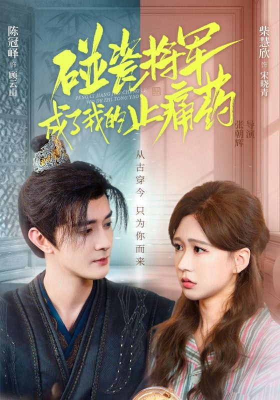 《碰瓷将军成了我的止痛药》-VIP部落