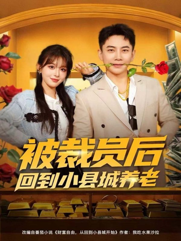 《被裁员后回到小县城养老》-VIP部落
