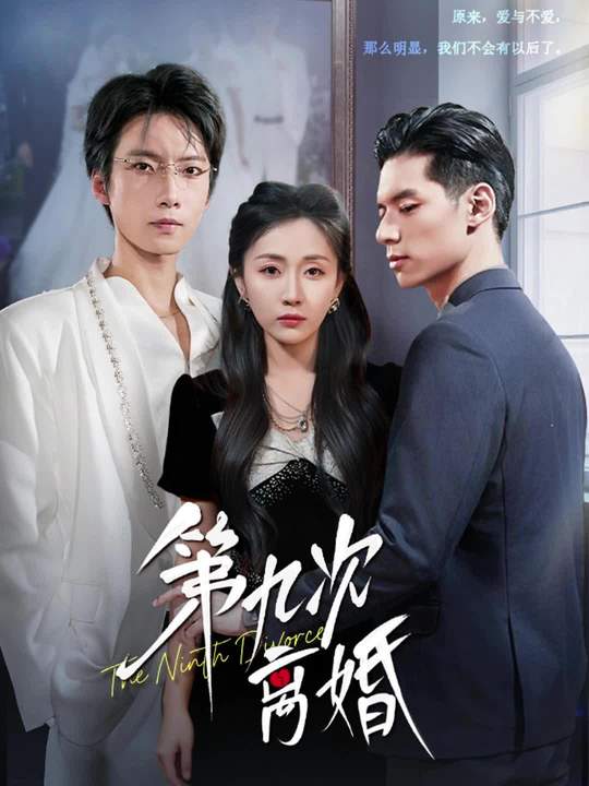 《第九次离婚》-VIP部落
