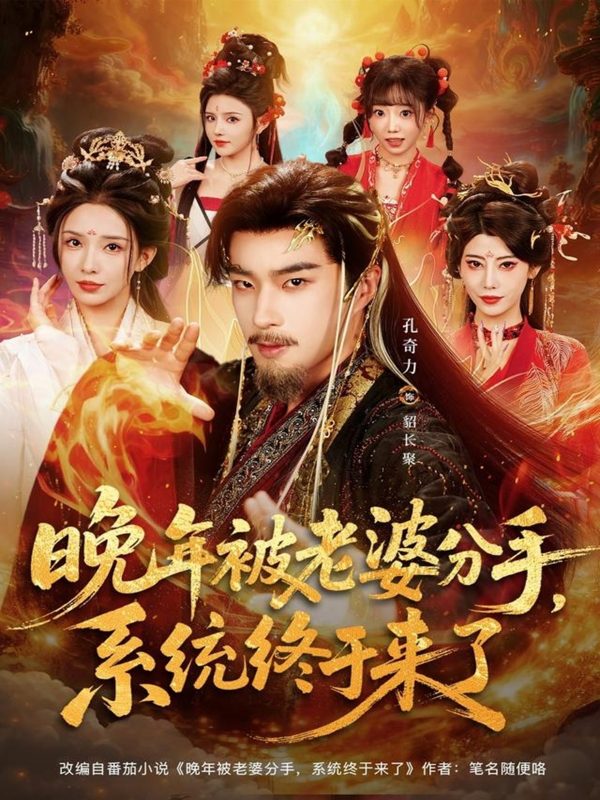 《晚年被老婆分手，系统终于来了》-VIP部落