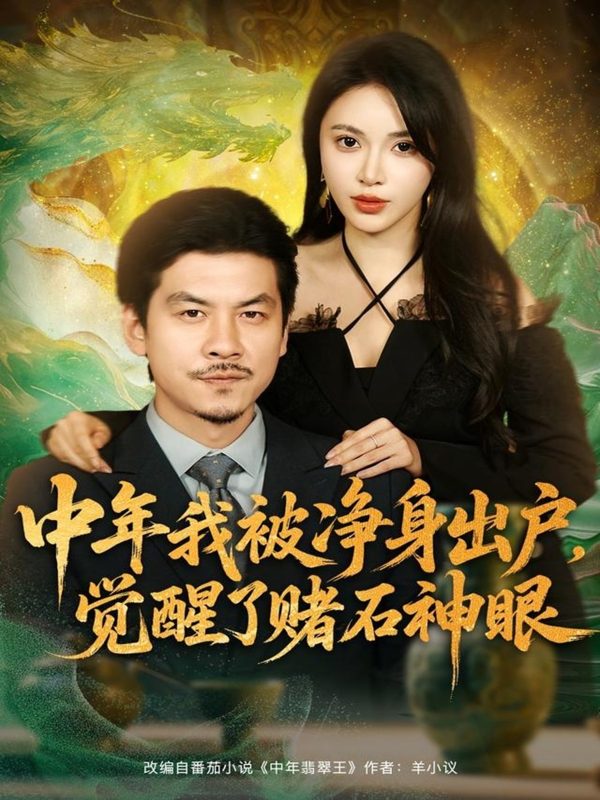 《中年我被净身出户，觉醒了赌石神眼》-VIP部落