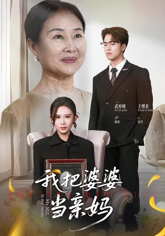 《我把婆婆当亲妈》-VIP部落