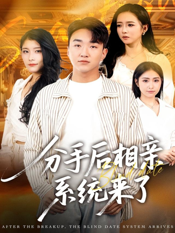 《分手后相亲系统来了》-VIP部落