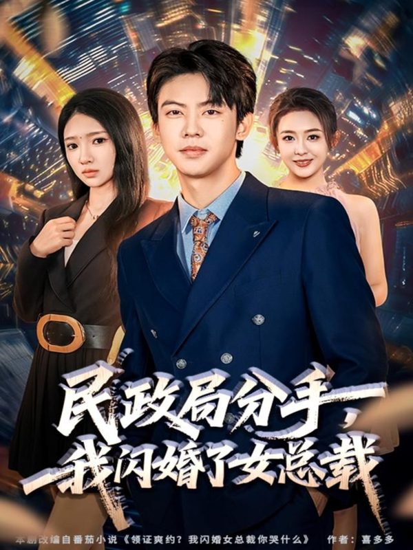 《民政局分手，我闪婚了女总裁》-VIP部落