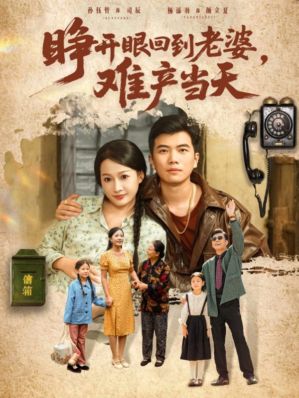 《睁开眼，回到老婆难产当天》-VIP部落
