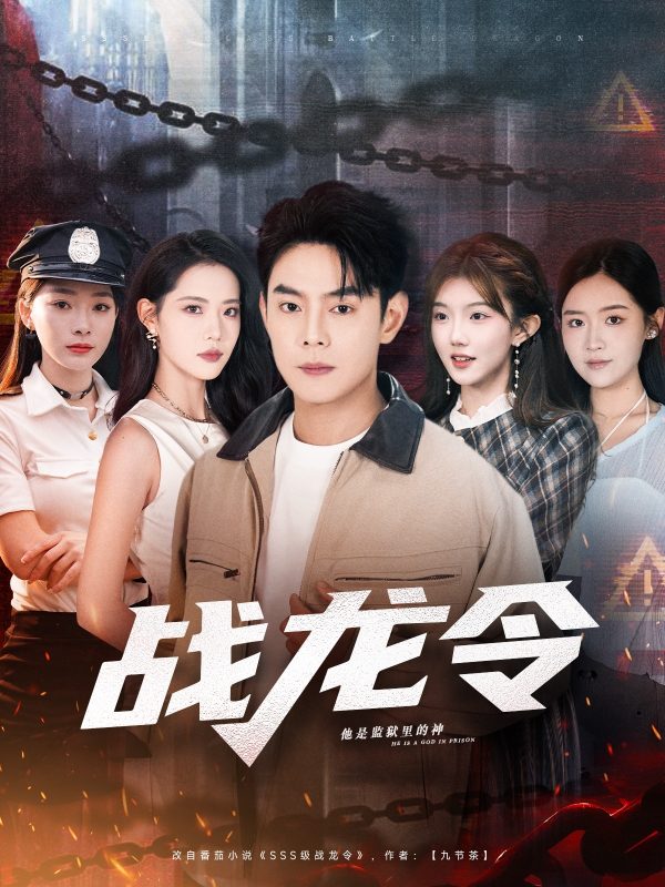 《战龙令》-VIP部落