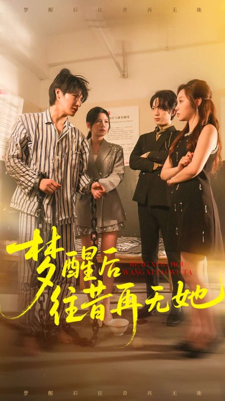 《梦醒后往昔再无她》-VIP部落