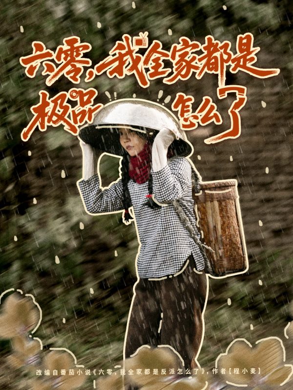 《六零，我全家都是极品怎么了》-VIP部落