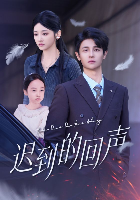 《迟到的回声》-VIP部落