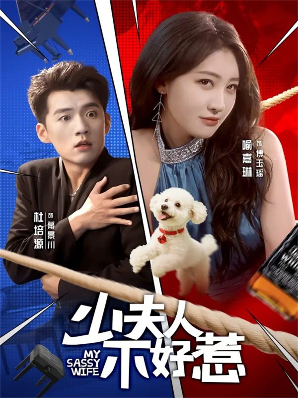 《少夫人不好惹》-VIP部落