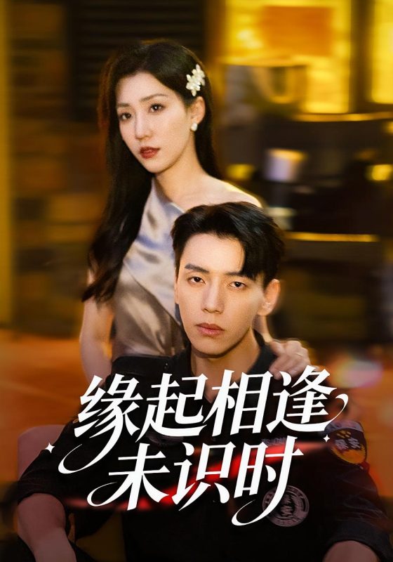 《缘起相逢未识时》-VIP部落