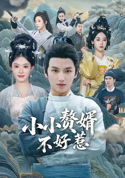 《小小赘婿不好惹》-VIP部落