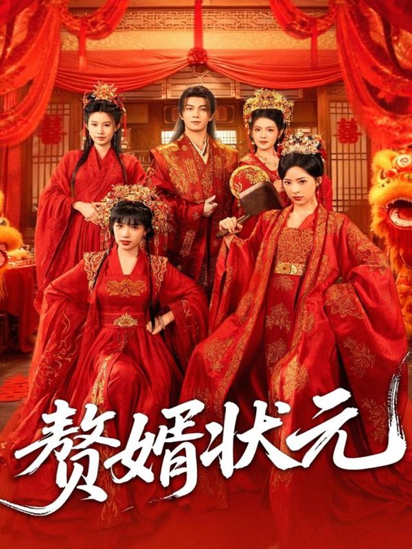 《赘婿状元》-VIP部落