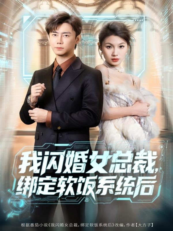 《我闪婚女总裁绑定软饭系统后》-VIP部落
