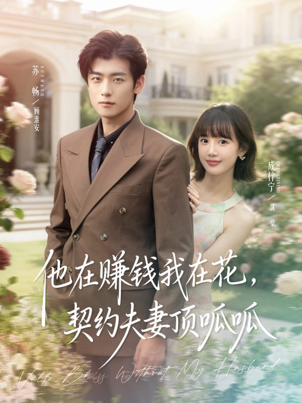 《他在赚钱我在花，契约夫妻顶呱呱》-VIP部落